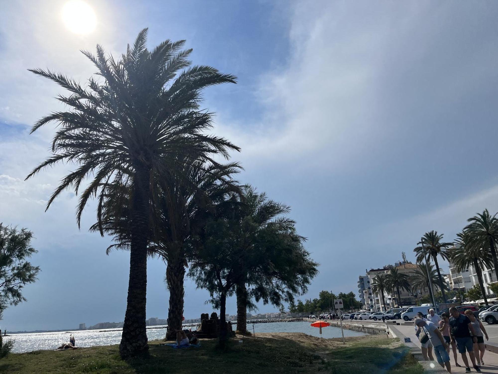 Castell Joncar,30 M De La Playa, 1Era Linea De Mar, Vista Al Mar Apartment Росес Екстериор снимка